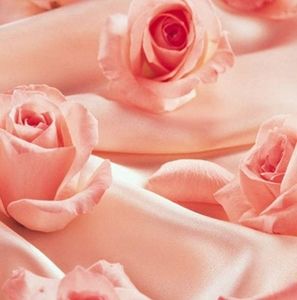 Meet your Posher, Magdalena